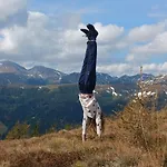 Dreibubenhaus. בקתה סנט אוסוולד