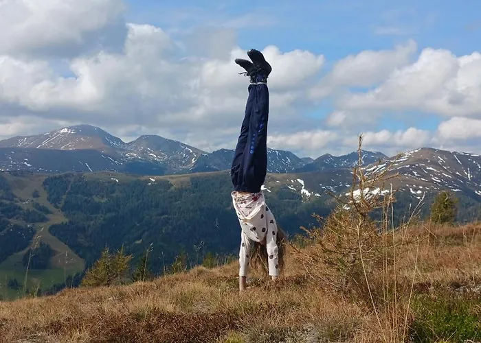 Dreibubenhaus. Chalet Sankt Oswald (Carinthia)